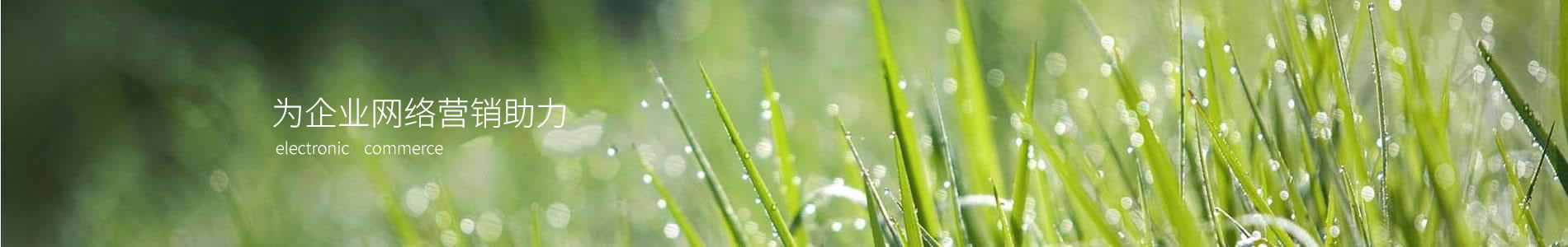 ܰƼ޹˾